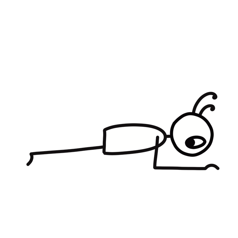 Forearm Plank (Makara Adho Mukha Svanasana)